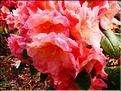 Sunup-Sundawn-